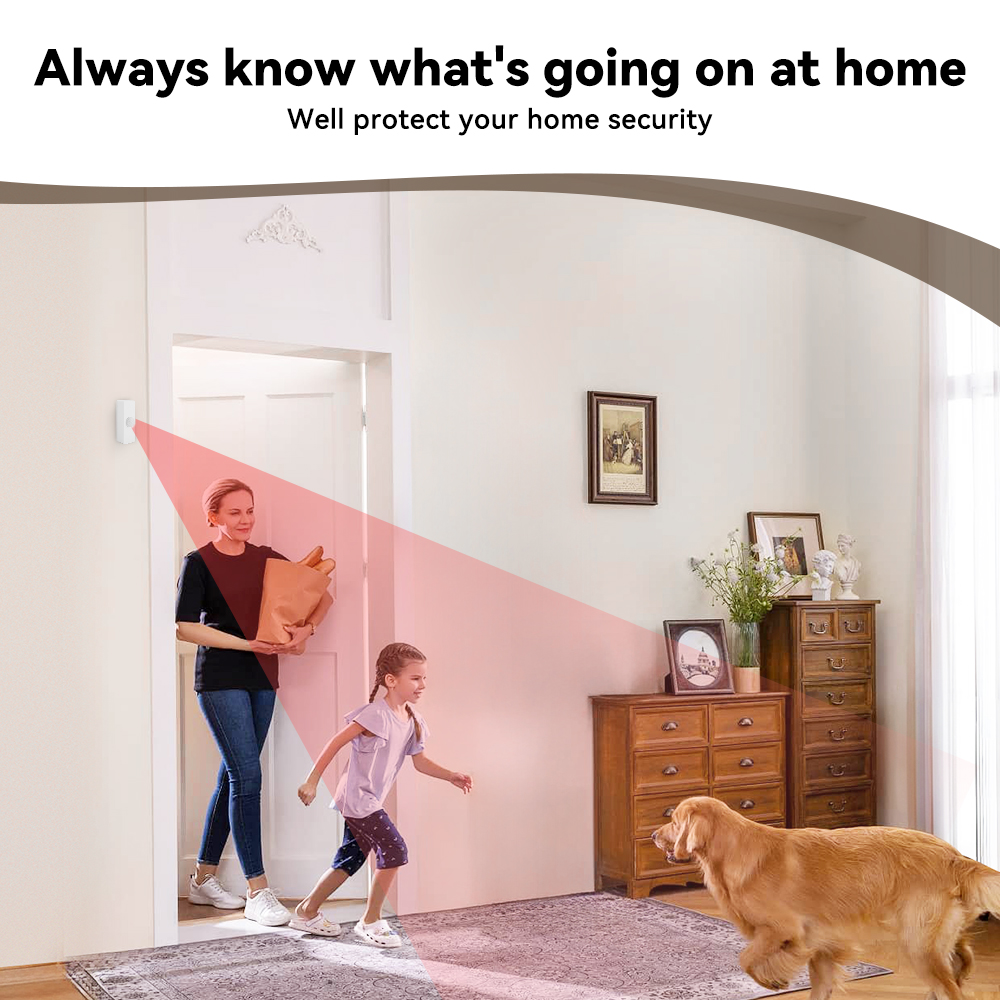 Tuya Smart PIR Motion Sensor S - Smart Home Retrofit 评论和价格